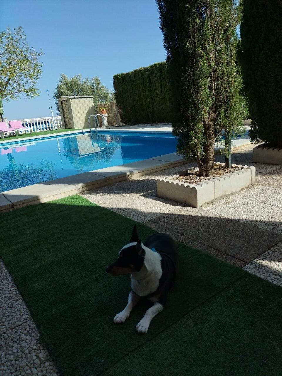 Vivienda Rural Villa Ruben Jaén Extérieur photo